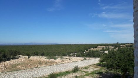 Beautiful Land for Sale – Ounagha – titled with building permit