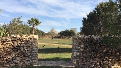 Très belle propriété à douze kilomètres d’Essaouira