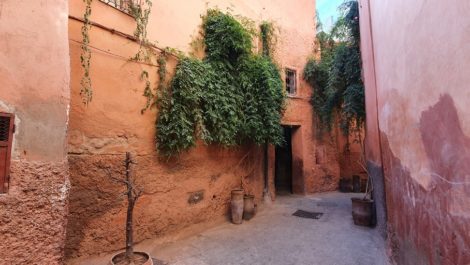 Riad titled to renovate, well placed, authentic