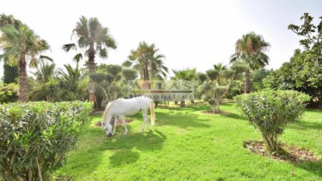 Vaste projet de deux hectares à 13 kilomètres de Marrakech (ferme équestre)