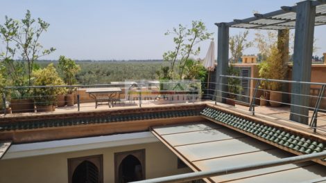 Superb uncluttered riad panoramic view over magnificent gardens and the Atlas