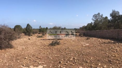 Terrain de 40000 m² à Essaouira – Idéal projet touristique