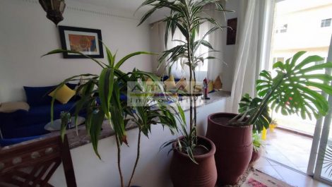 Essaouira: Superb sea view apartment!