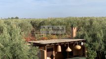 Marrakech: Very beautiful four-bedroom villa with swimming pool and SPA, ideal for expats