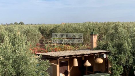 Marrakech: Very beautiful four-bedroom villa with swimming pool and SPA, ideal for expats