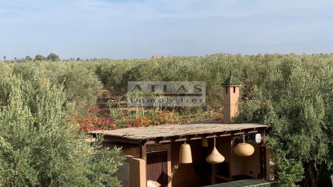 Marrakech : Luxueuse Villa avec Piscine, Spa et Oliviers