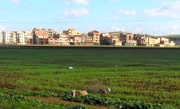 Les étrangers ont la possibilité d’acquérir des terres agricoles