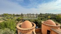 Marrakech : Impressionnante propriété 1HA au cœur de la Palmeraie