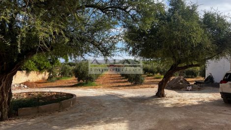Essaouira : Belle propriété champêtre entourée d’oliviers