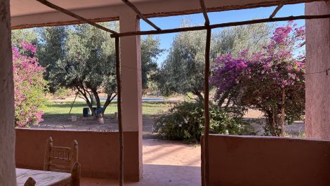 Marrakech: Magnificent land with Beldi house in SD1 route d’Amizmiz