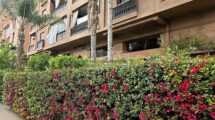 Marrakech: Beautiful Apartment in a Building Overlooking El Harti Park