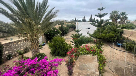 Essaouira – Deux Maisons Beldi sur Grand Terrain, Charme et Potentiel Rare