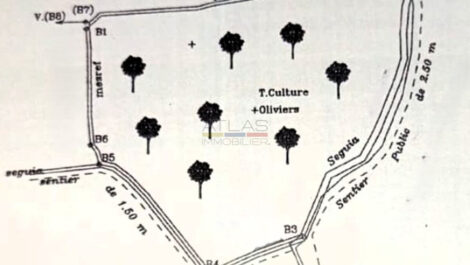 Titled urban land of 1.6 hectares in Tahannaout at the exceptional price of 450 Dhs/m²