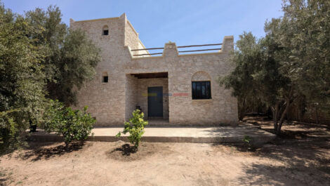 Contemporary Villa with Olive Garden and Countryside Views in Ounagha